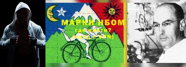 прущие грибы Дмитров