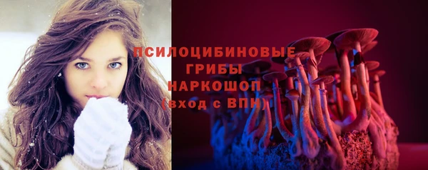 прущие грибы Дмитров