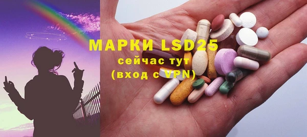 прущие грибы Дмитров
