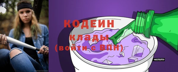 прущий лед Дмитриев