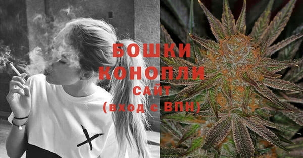 прущие грибы Дмитров