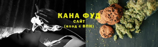 прущий лед Дмитриев