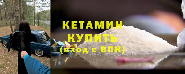 прущие грибы Дмитров