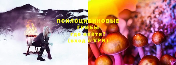 прущий лед Дмитриев