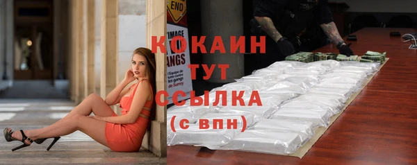 эйфоретик Гусь-Хрустальный