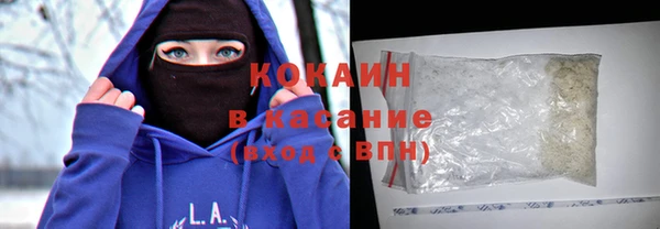 прущие грибы Дмитров