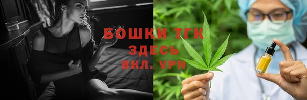 прущий лед Дмитриев