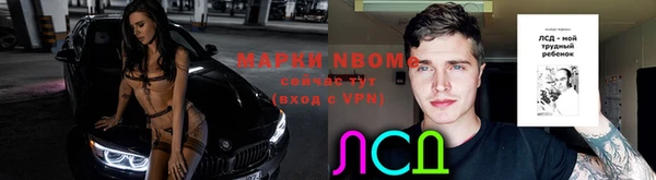 прущий лед Дмитриев