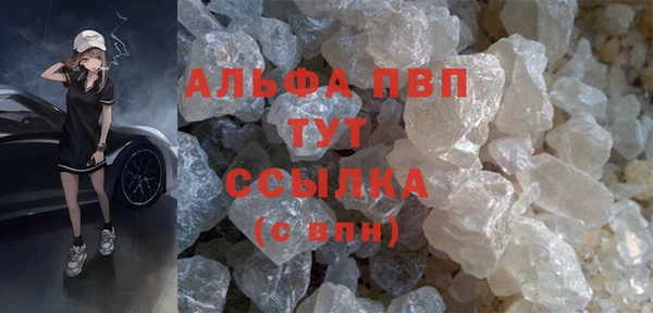 прущий лед Дмитриев