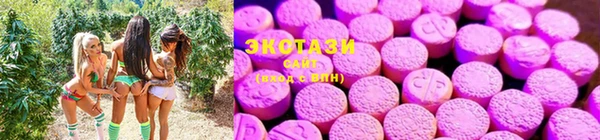 прущий лед Дмитриев